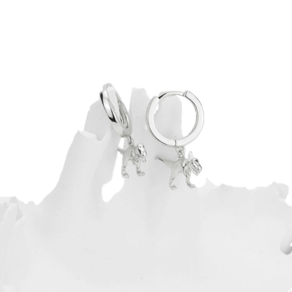 Editorial photograph of silver earrings; photography by PRAHANT STUDIO